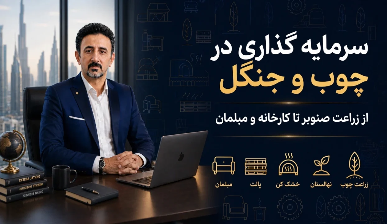 سرمایه گذاری در چوب و جنگل؛ ۱۴ فرصت قانونی از زراعت چوب تا مبلمان