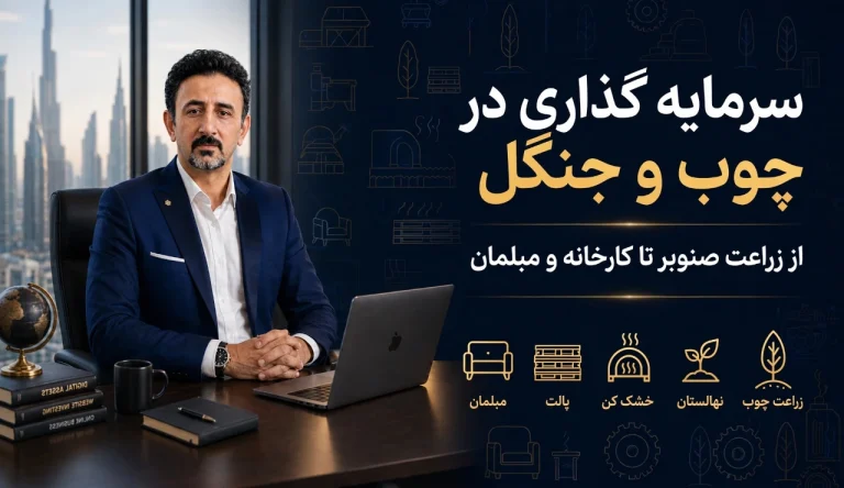 سرمایه گذاری در چوب و جنگل
